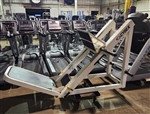 Cybex 45 Degree Leg Press