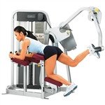 Cybex Eagle Glute