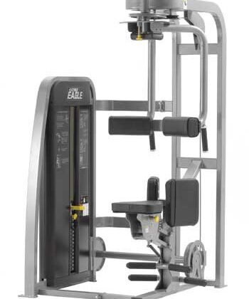 Cybex Eagle Torso Rotation