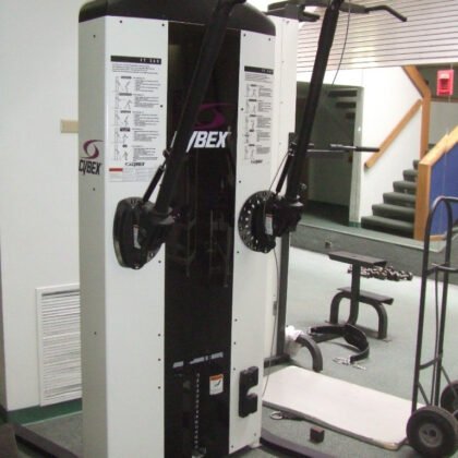 Cybex FT-360 Functional Trainer